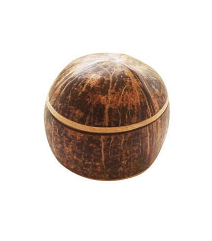 durable multipurpose coconut shell container