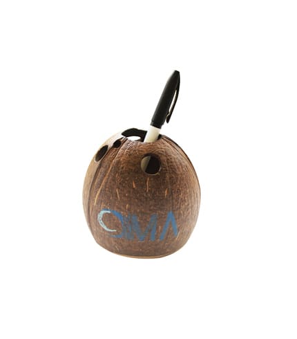 dry coconut shell pen holder