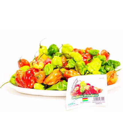Habanero Pepper