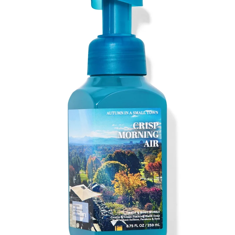 BBW Crisp Morning Air Cleansing Gel Hand Soap