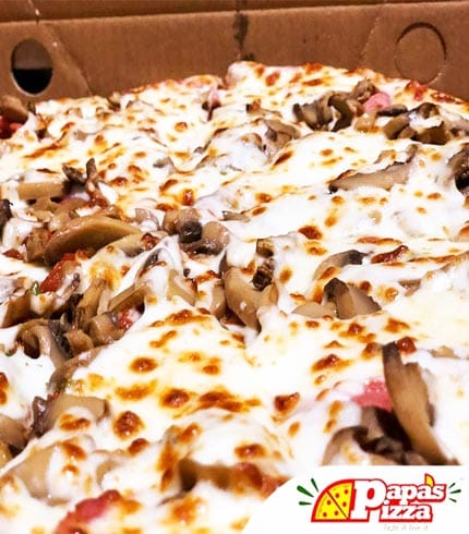 favorite Papa’s Pizza- Deluxe