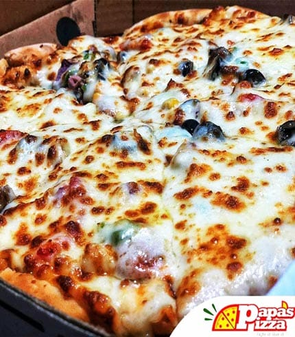 favorite Papa’s Pizza- Full House