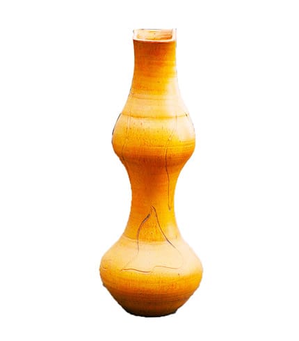African Lady Flower Pot